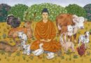 Η θανάτωση ζώου για προσφορά φαγητού  στον βουδισμό