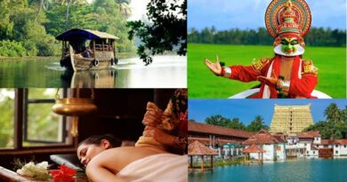 Leisure and Wellness Tour to Kerala – February 2026